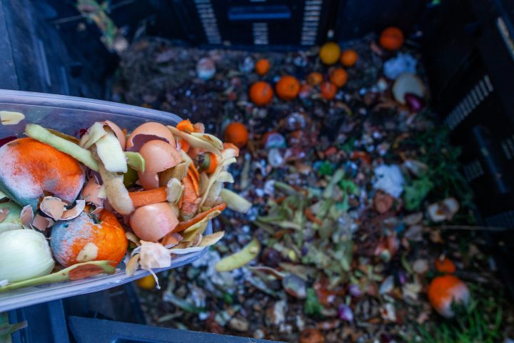 WASTE NOT WANT NOT…